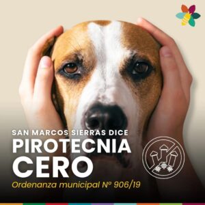 Lee más sobre el artículo Pirotecnia Cero 