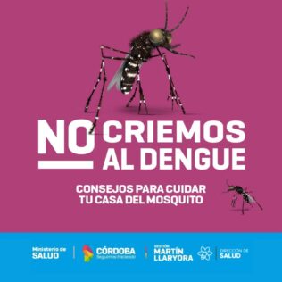 Prevení el Dengue en tu hogar