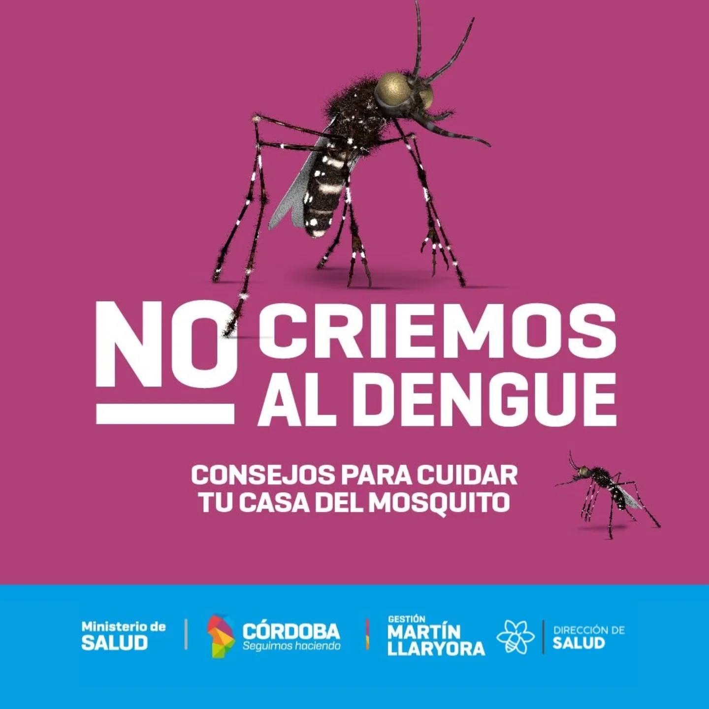 En este momento estás viendo Prevení el Dengue en tu hogar